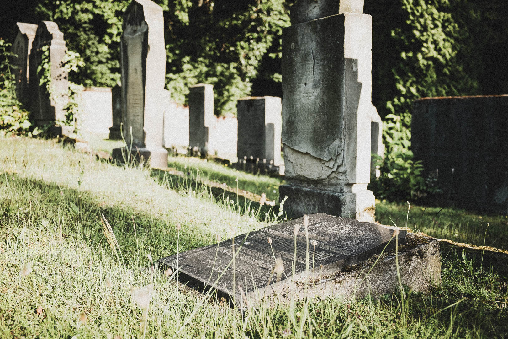 Jüdischer Friedhof Kassel-Bettenhausen